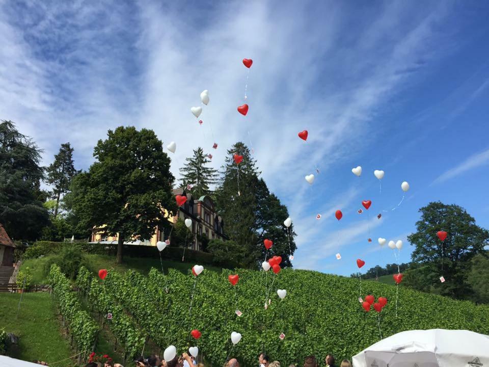 Wein Lodge Durbach - Josephsberg 2 Екстер'єр фото